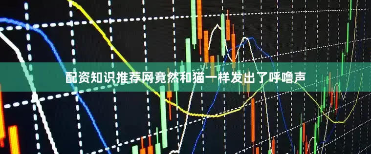 配资知识推荐网竟然和猫一样发出了呼噜声
