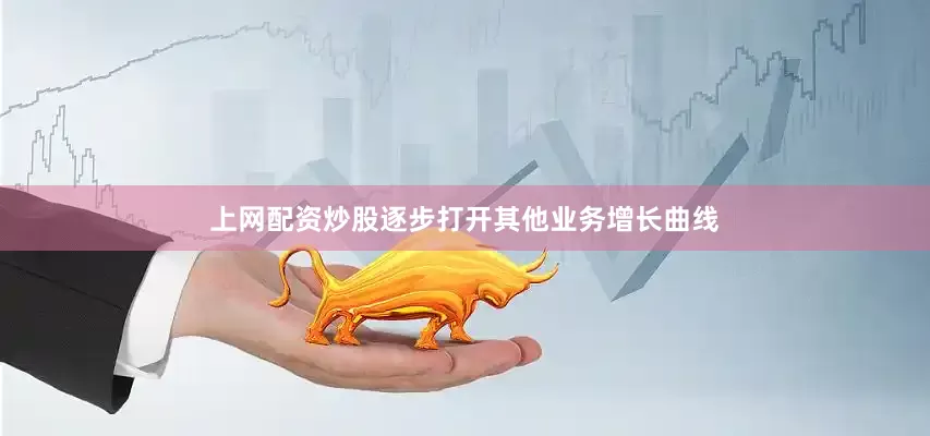 上网配资炒股逐步打开其他业务增长曲线